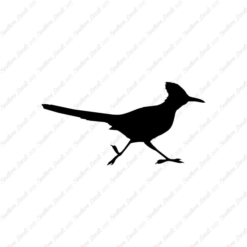 Roadrunner Bird