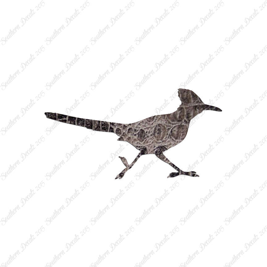 Roadrunner Bird