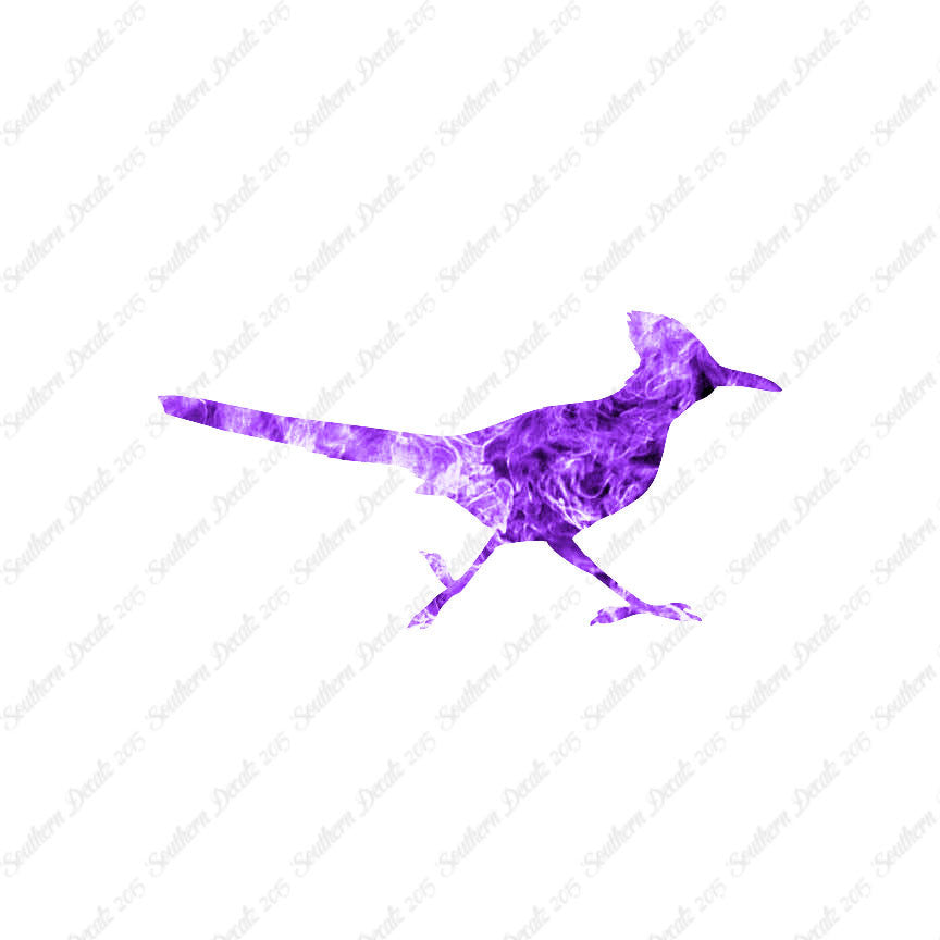 Roadrunner Bird