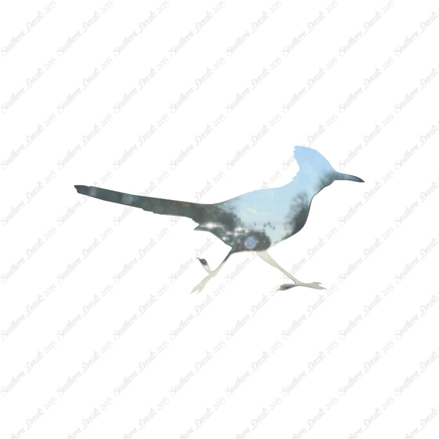 Roadrunner Bird