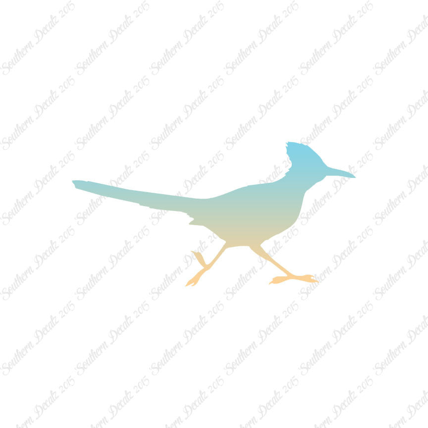 Roadrunner Bird