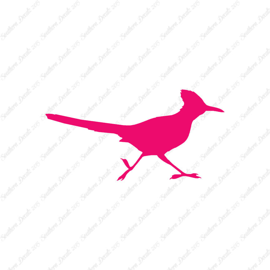 Roadrunner Bird