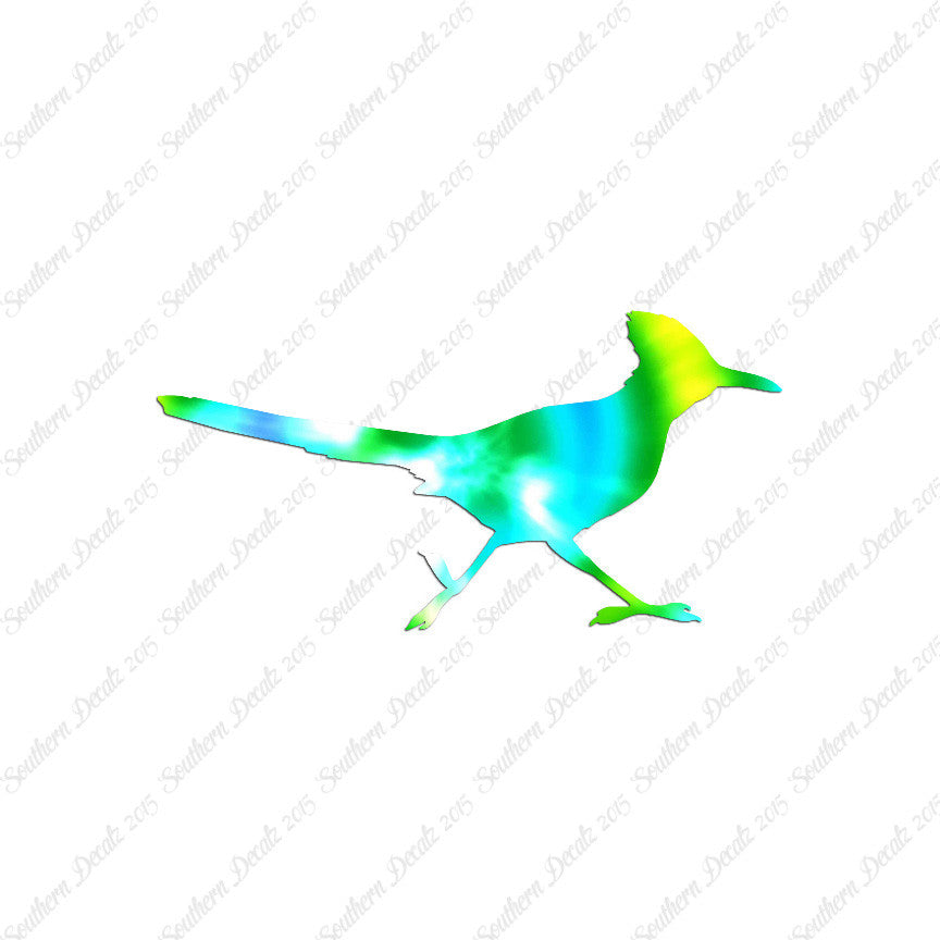Roadrunner Bird