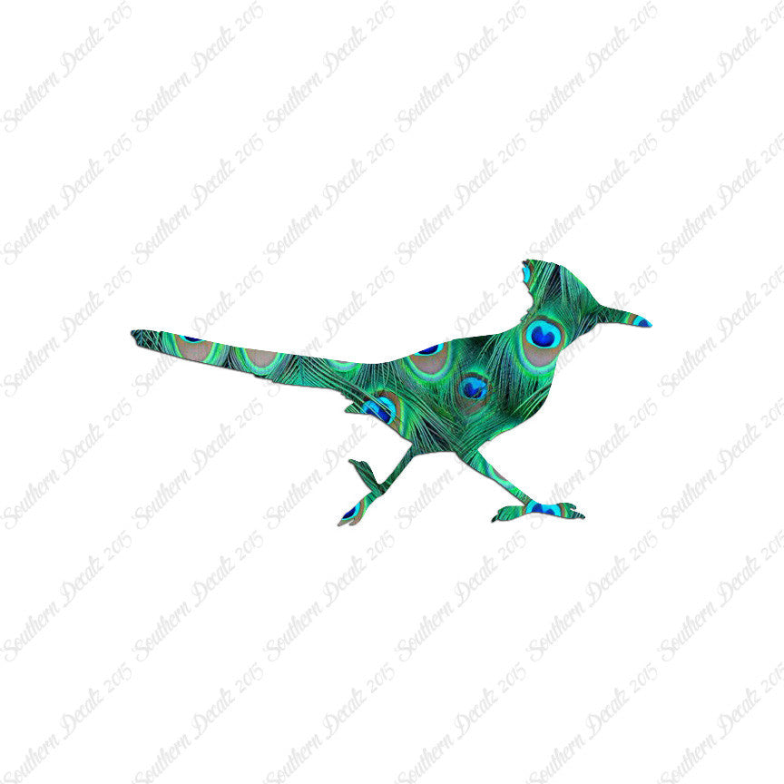 Roadrunner Bird