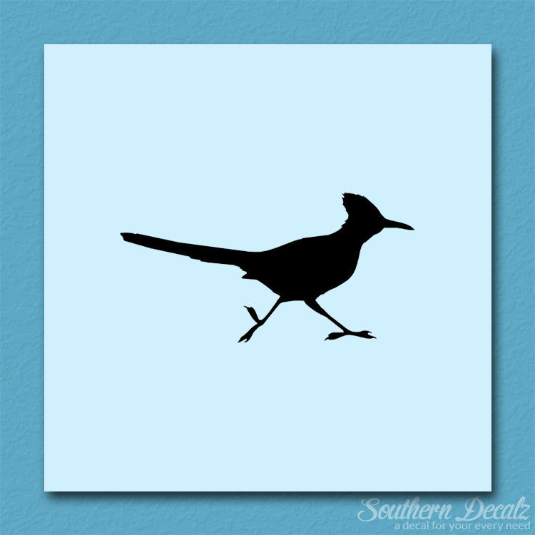 Roadrunner Bird