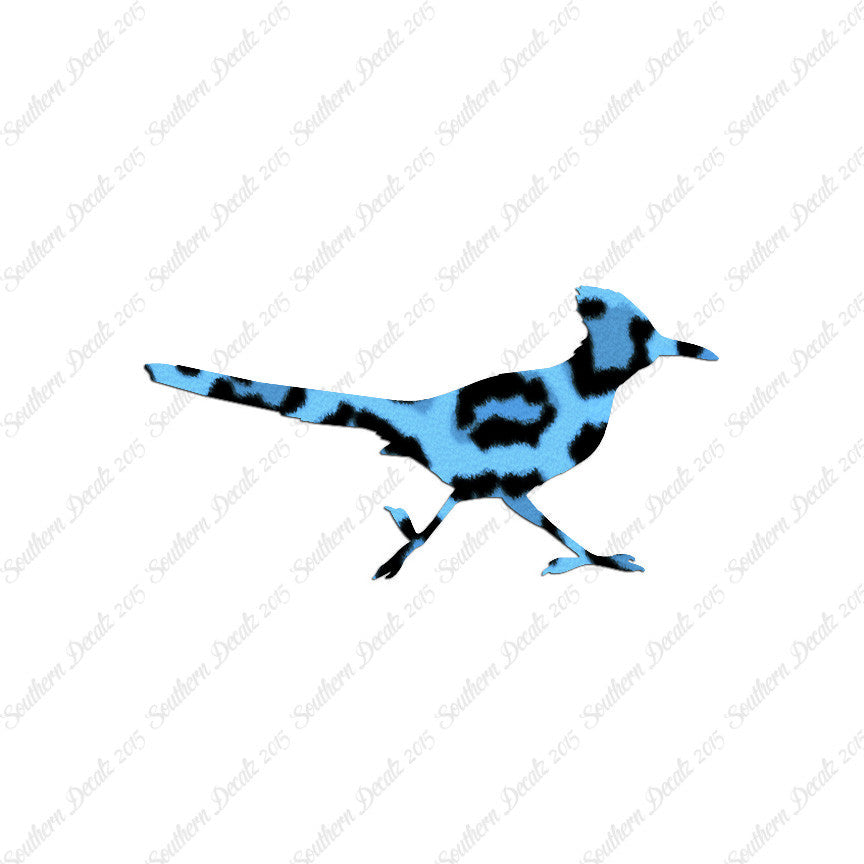 Roadrunner Bird