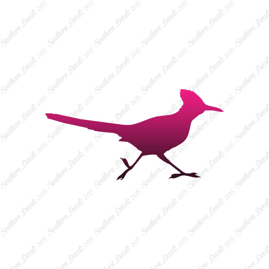 Roadrunner Bird