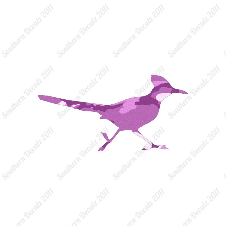Roadrunner Bird