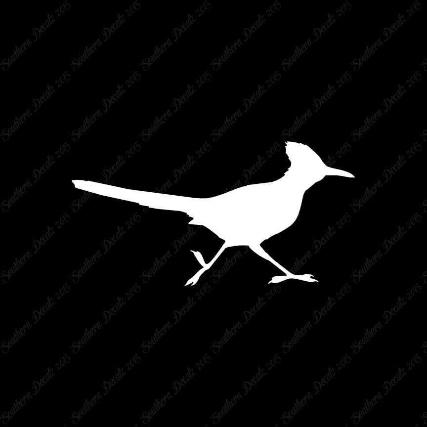 Roadrunner Bird