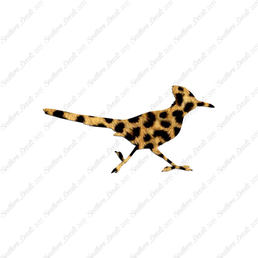 Roadrunner Bird