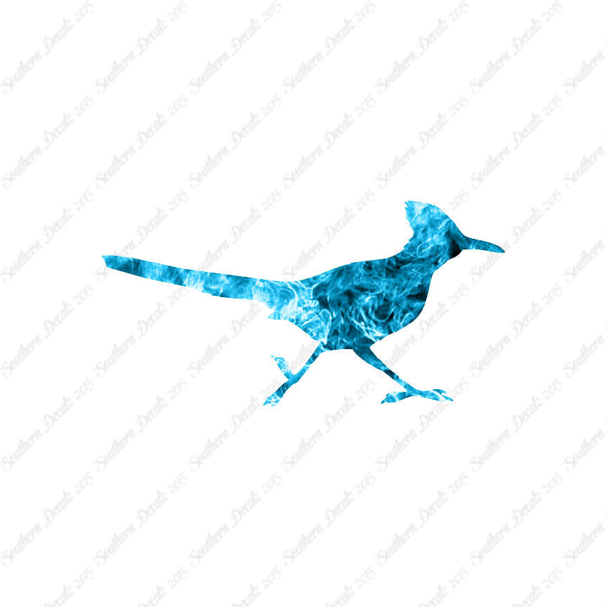 Roadrunner Bird