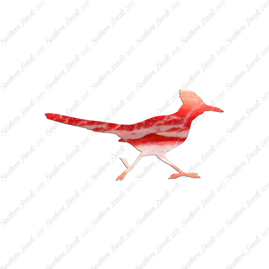 Roadrunner Bird