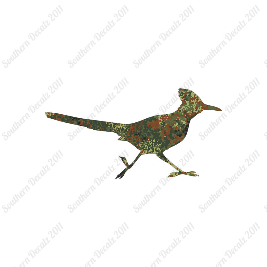 Roadrunner Bird