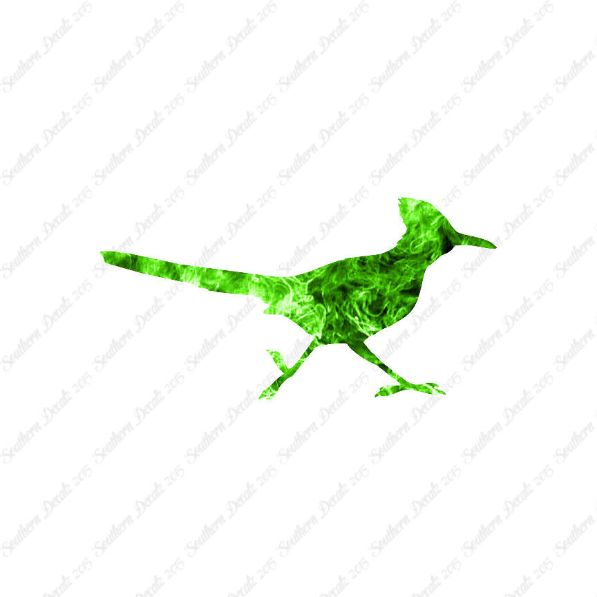 Roadrunner Bird