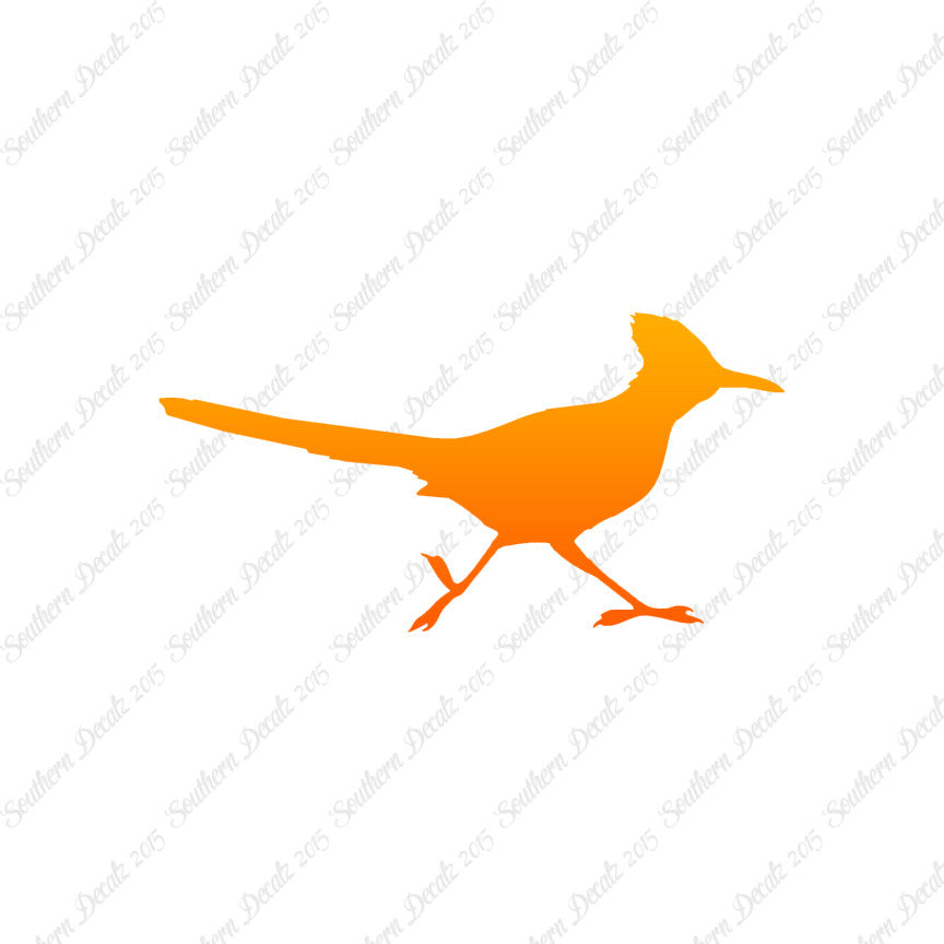 Roadrunner Bird