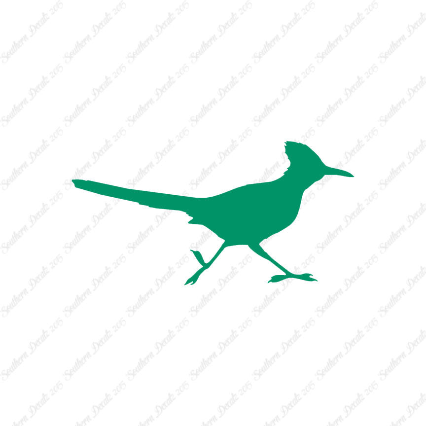 Roadrunner Bird