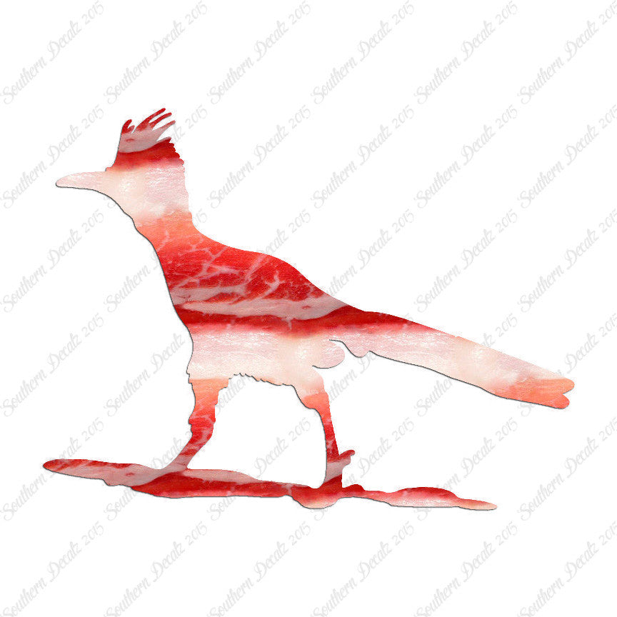 Bird Roadrunner