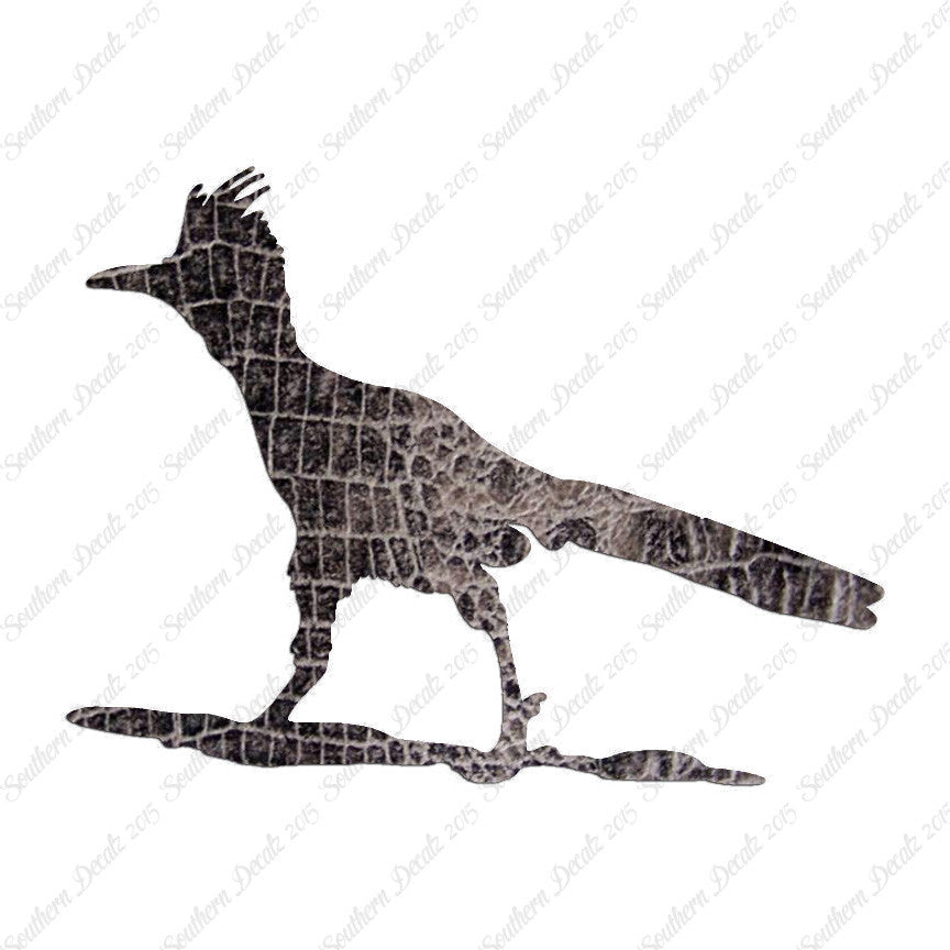 Bird Roadrunner