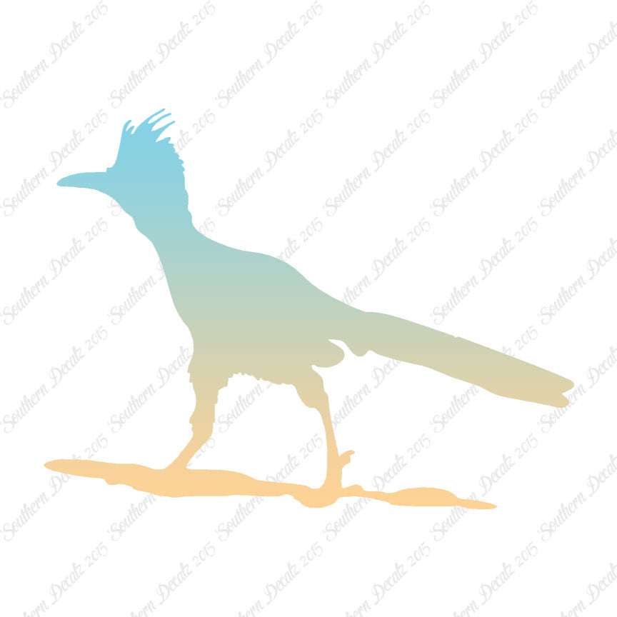 Bird Roadrunner