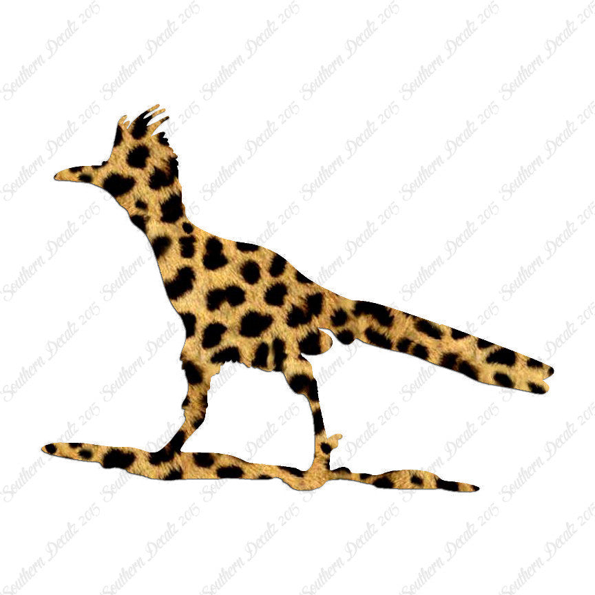 Bird Roadrunner