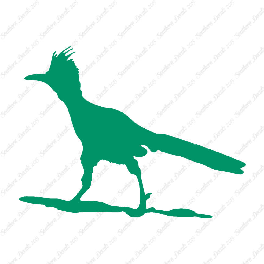 Bird Roadrunner