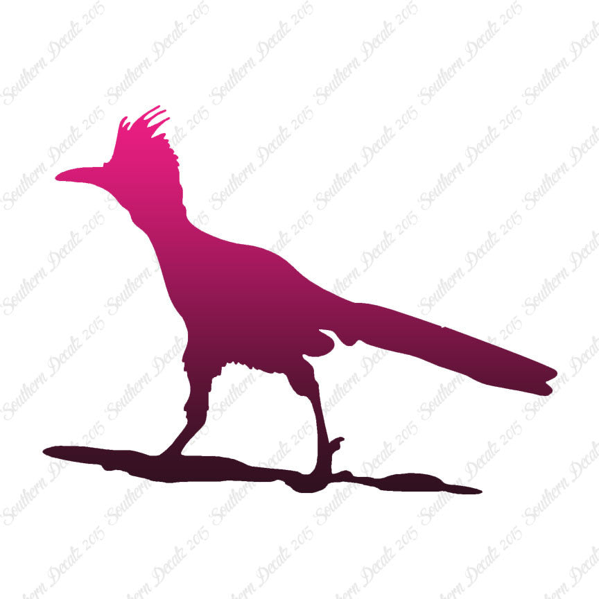 Bird Roadrunner