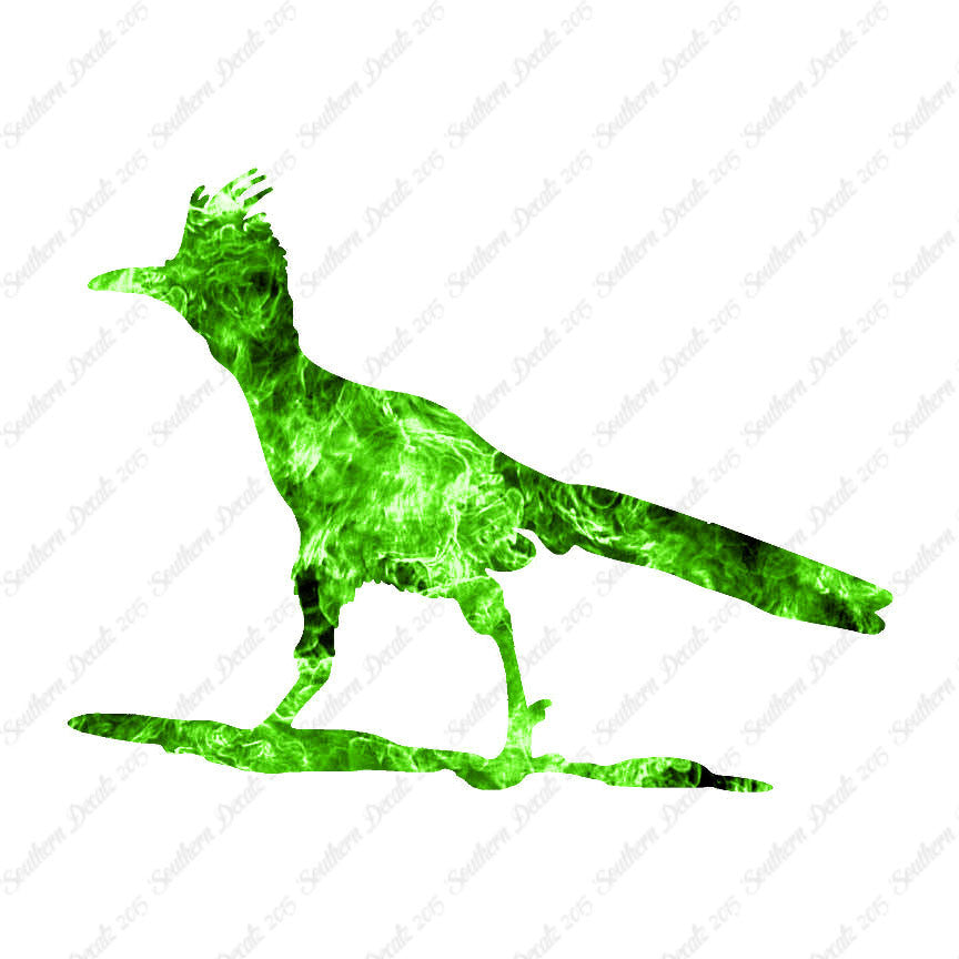Bird Roadrunner