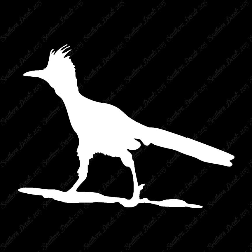 Bird Roadrunner