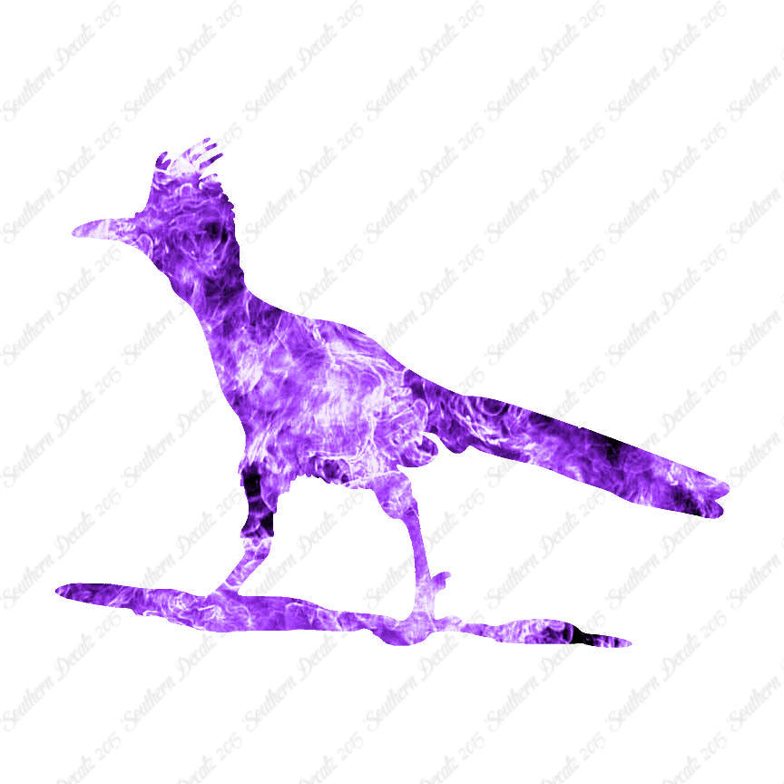 Bird Roadrunner