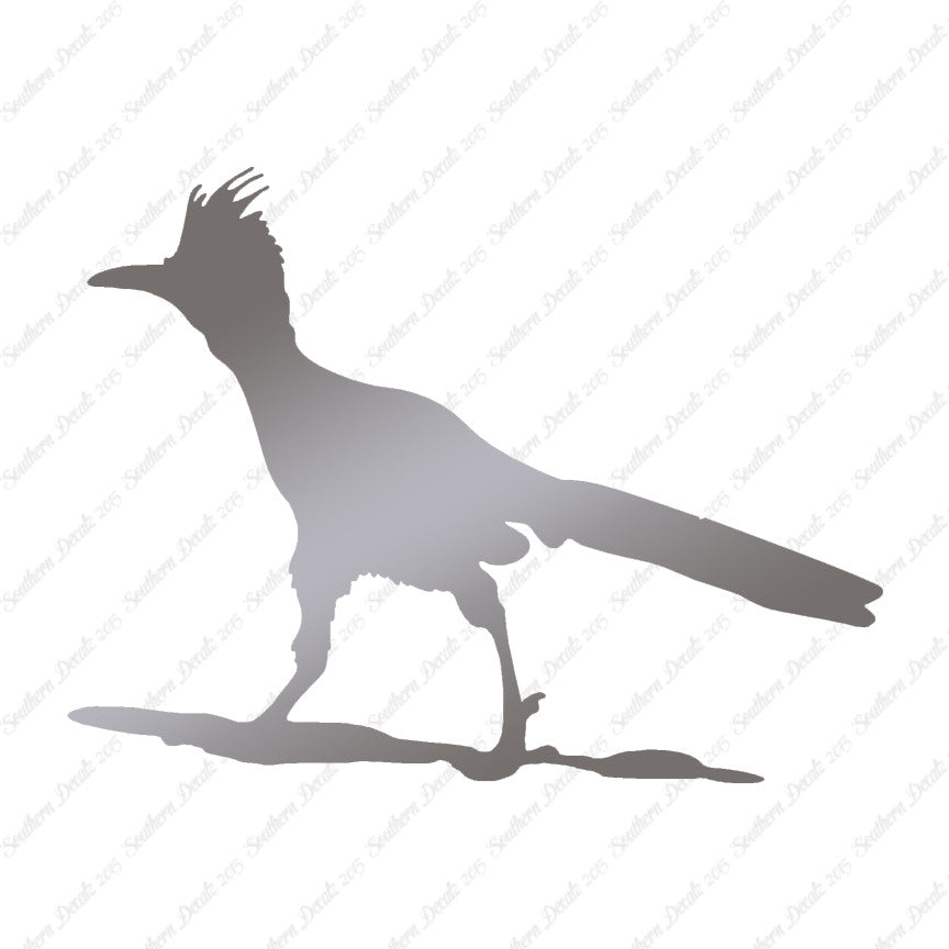 Bird Roadrunner