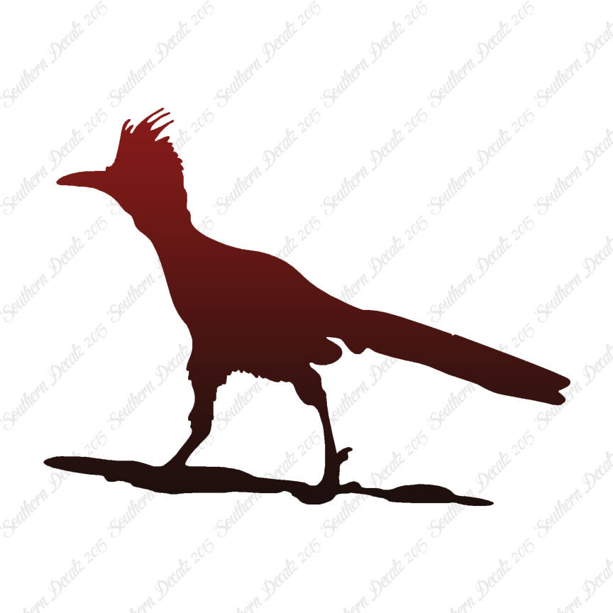 Bird Roadrunner