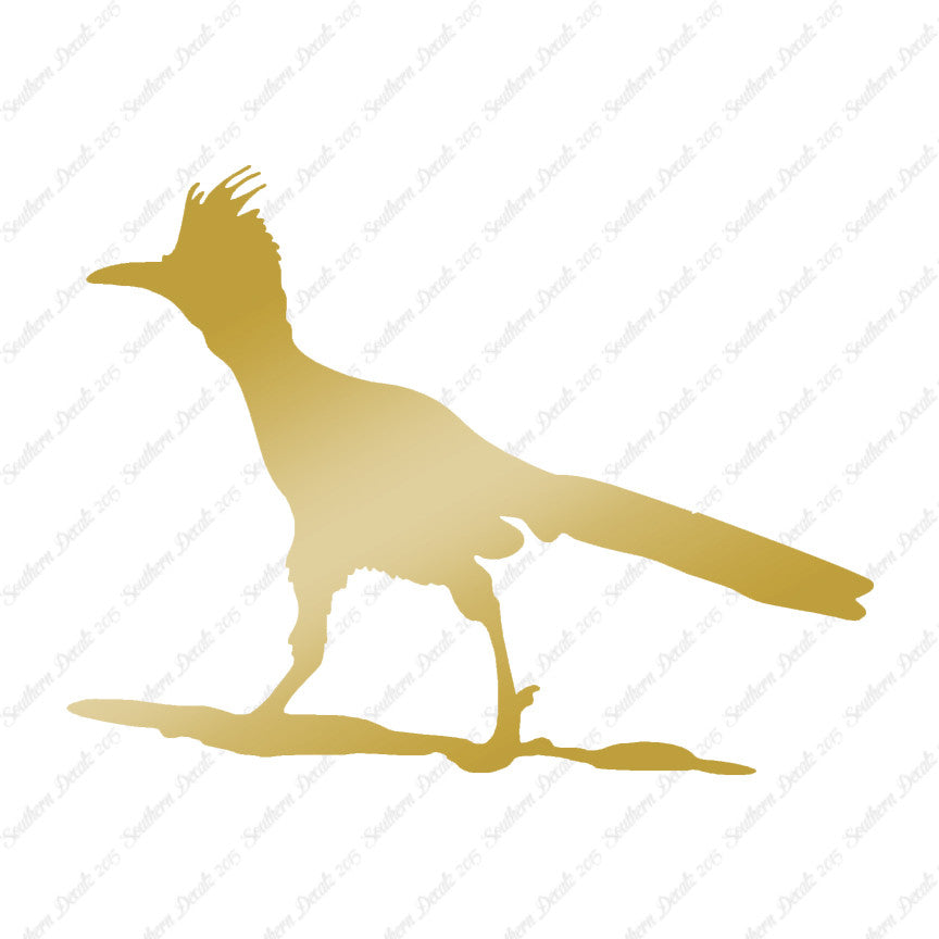 Bird Roadrunner