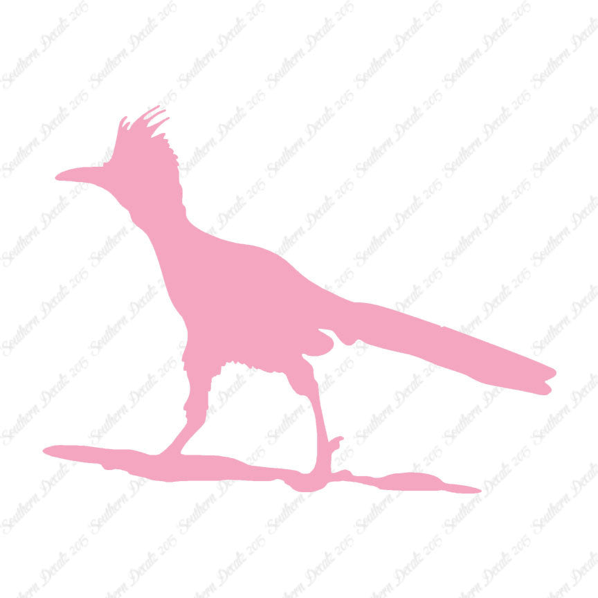 Bird Roadrunner