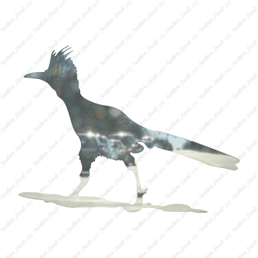 Bird Roadrunner