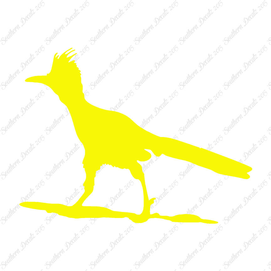 Bird Roadrunner