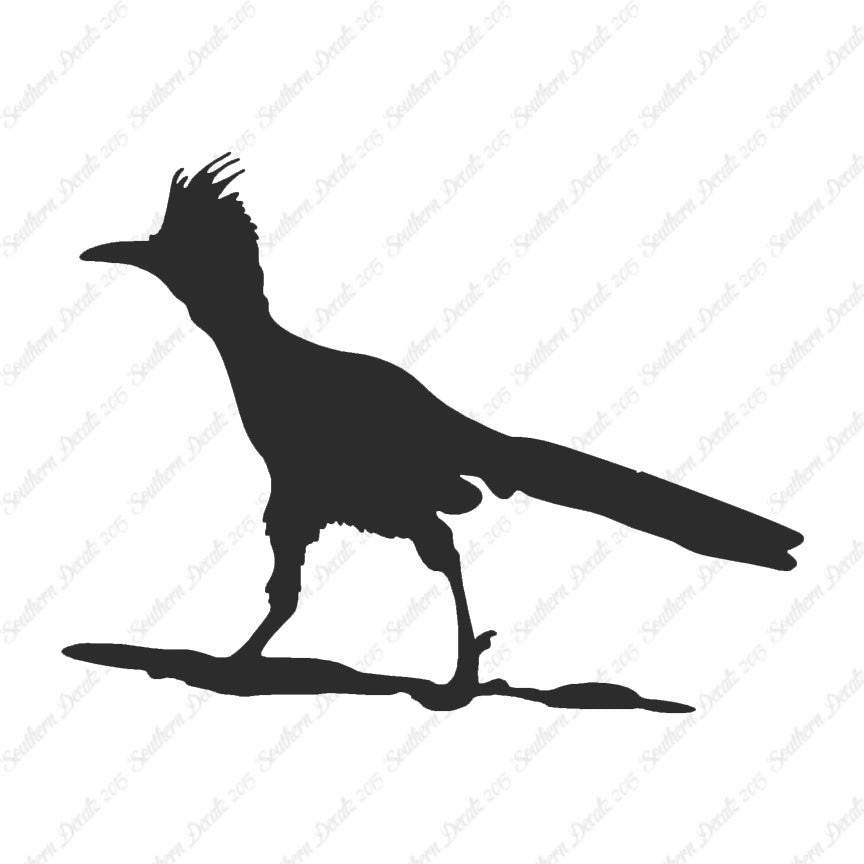 Bird Roadrunner