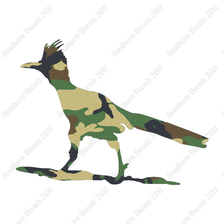 Bird Roadrunner