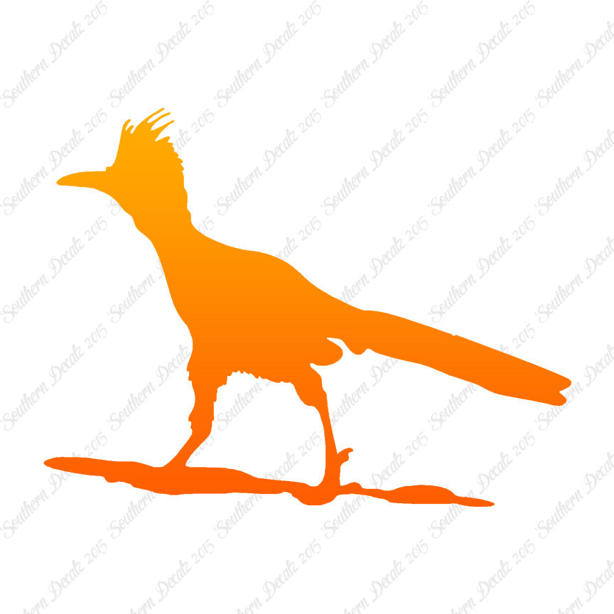 Bird Roadrunner