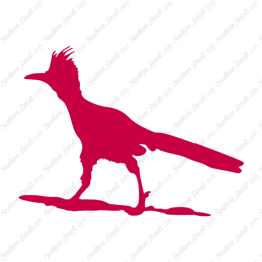 Bird Roadrunner