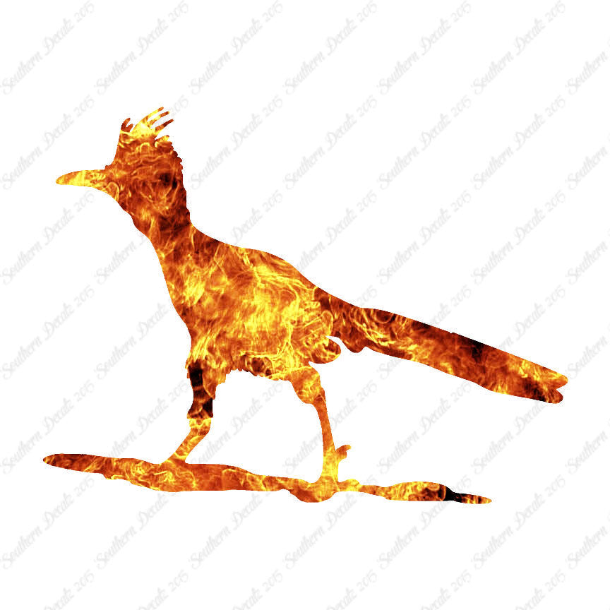 Bird Roadrunner