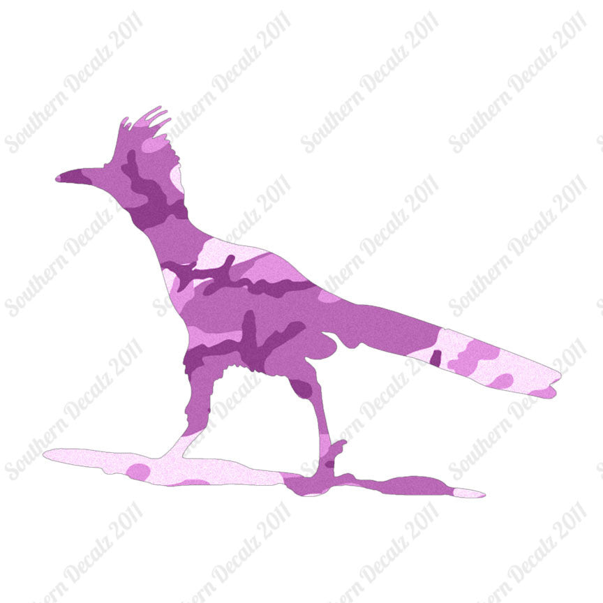 Bird Roadrunner