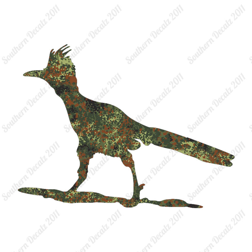 Bird Roadrunner