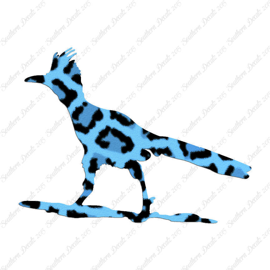Bird Roadrunner