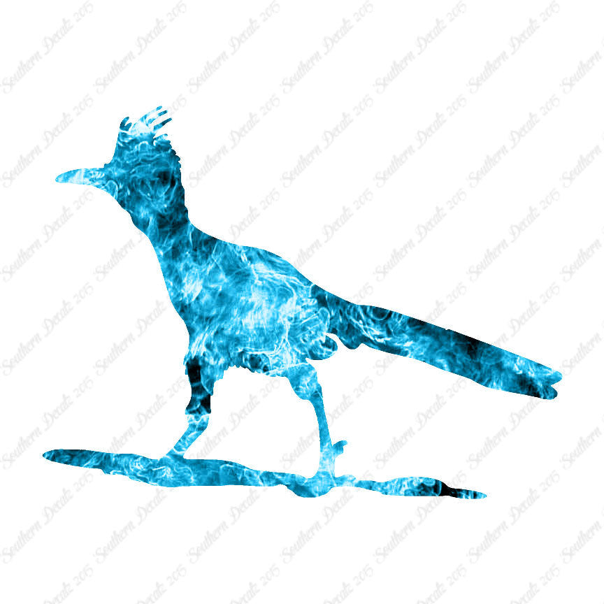 Bird Roadrunner