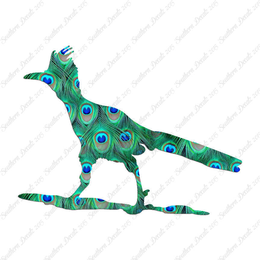 Bird Roadrunner