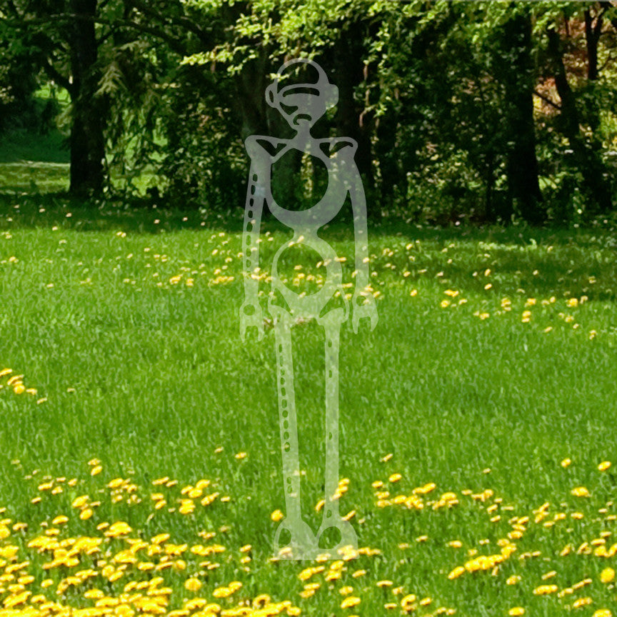 Robot Android