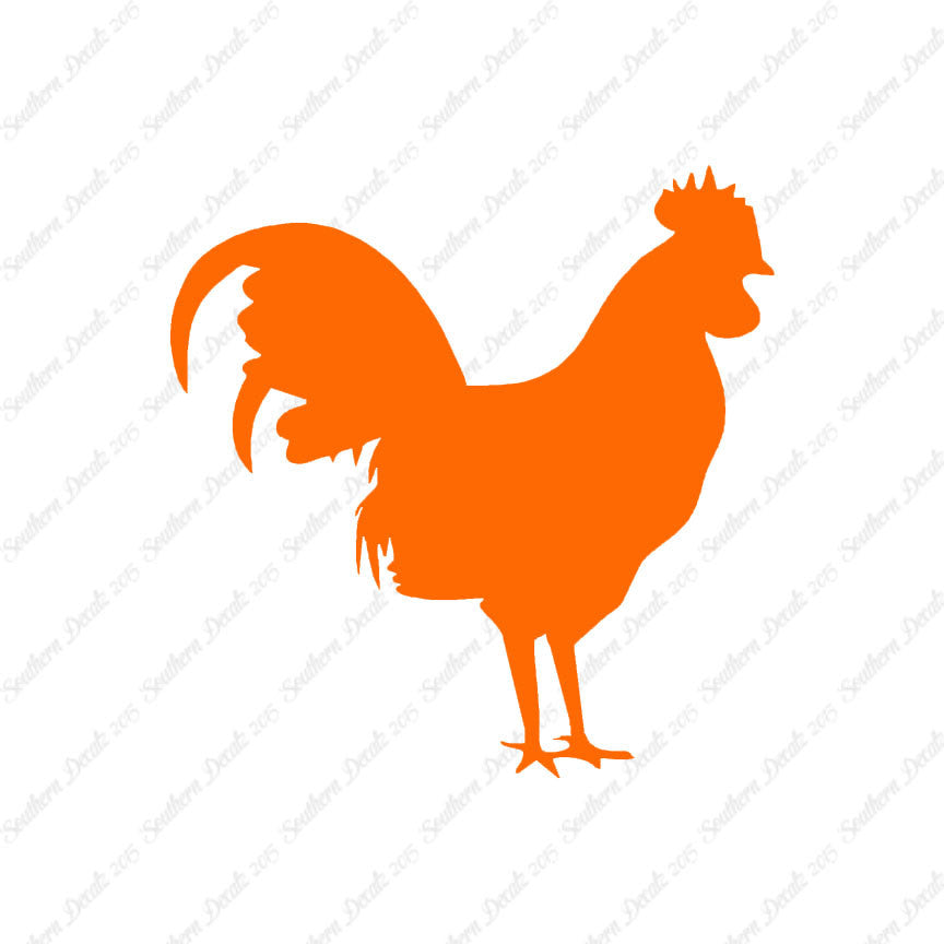 Rooster Chicken