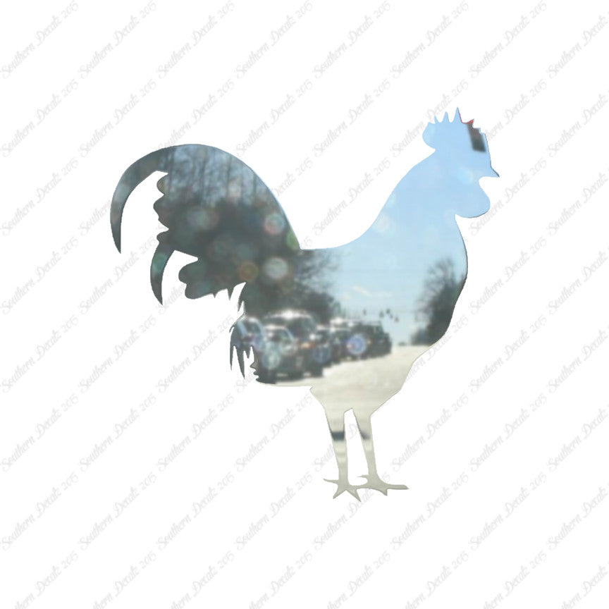 Rooster Chicken