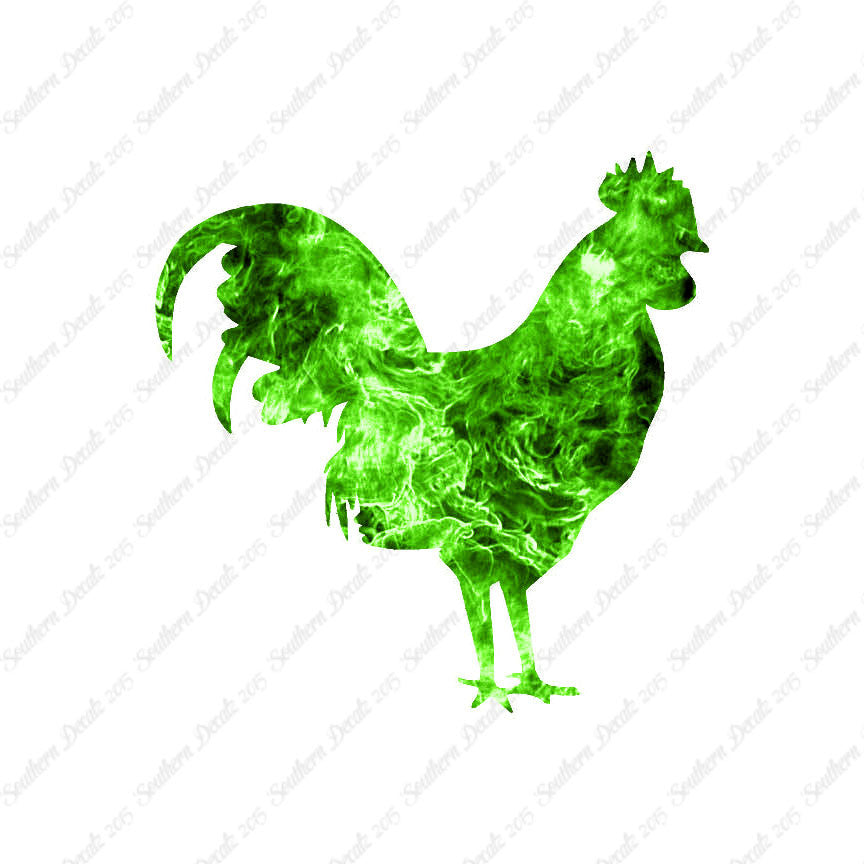 Rooster Chicken