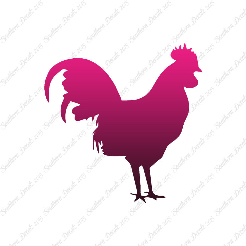 Rooster Chicken